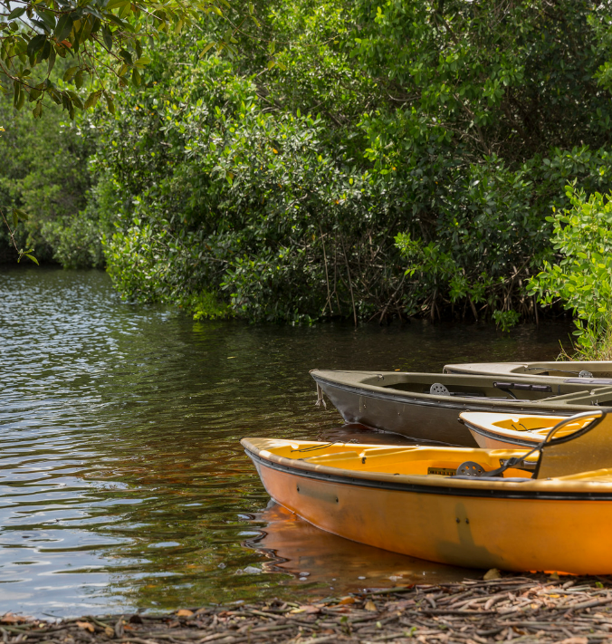 Kayak in water